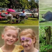 Sewerby Hall will be hosting a number of fun activities for the whole family throughout the summer holidays