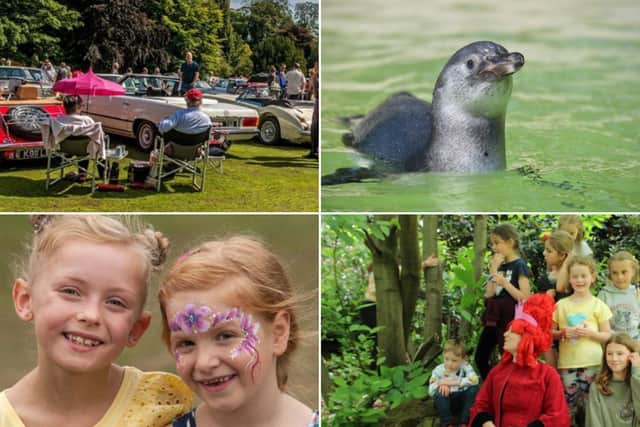 Sewerby Hall will be hosting a number of fun activities for the whole family throughout the summer holidays