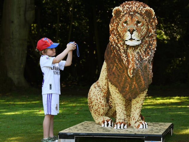 Five-year-old Harry Hackford takes a photo of this stunning lion sculpture.