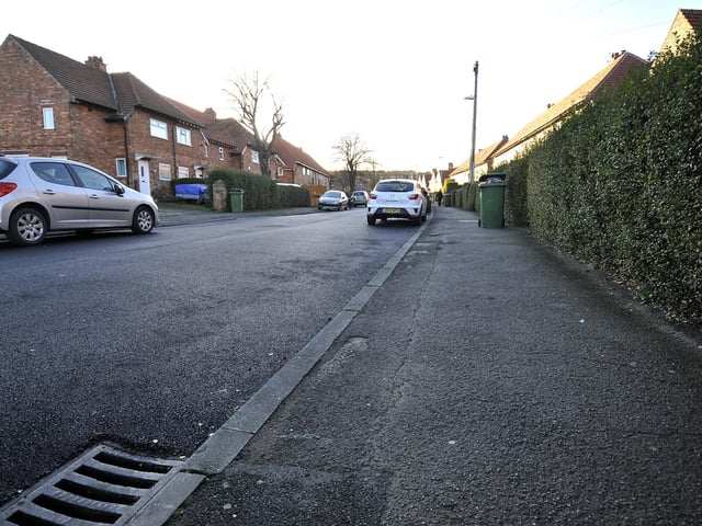The proportion of this neighbourhood with tree canopy is 20.4 per cent.