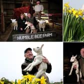 Humble Bee Farm is set to open it's doors for their Lambing Experience.