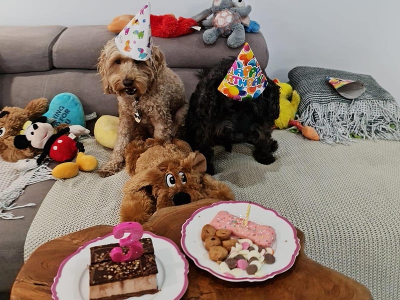 Celebration time for these party animals!
picture posted by Michael McCourt.
