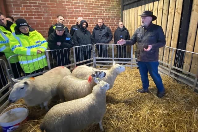 Farm Watch coordinator Stuart Bell demonstrates how to identify sheep from their markings and tags.