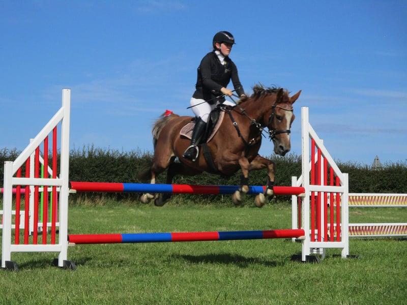 Show jumping at Barnby Show, by Jane Ellis.