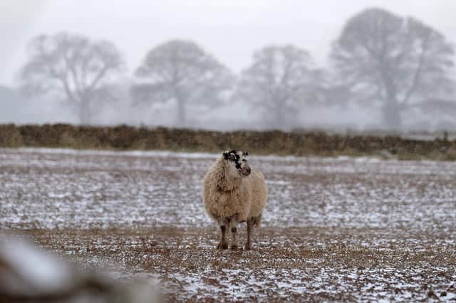 This weekend on the Yorkshire coast is set to get chilly with overnight frosts, according to the Met Office. Photo: Richard Ponter