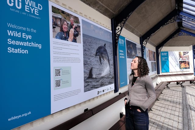 The Wild Eye seawatching station.