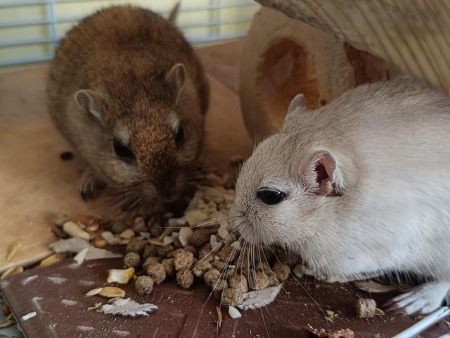 Colin and Dave having a snack together.