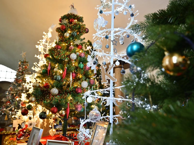 Christmas trees looking splendid! photo: Richard Ponter