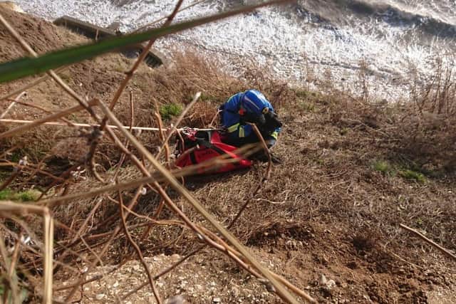 A Coastguard Rescue Officer calms a frightened Millie - Image: Bridlington Coastguard