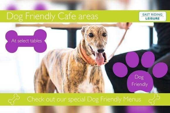 Due to dog friendly tables being such a success in Bridlington, all East Riding Leisure cafes will have selected dog friendly tables.