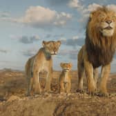 Afia (voiced Anika Noni Rose), Young Mufasa (voiced by Braelyn Rankins) and Masego (voiced by Keith David) in Disney’s Mufasa: The Lion King.  Photo courtesy of Disney.