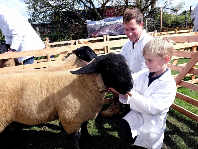 James Wilkinson and son Charlie with their sheep.