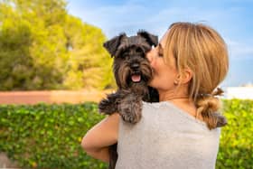 For many victims, fear for their pet’s safety can be a significant barrier to seeking help or leaving. Photo: East Riding of Yorkshire Council