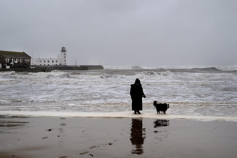 HEre a Scarborough resident and their dog are having a wild walk on the beach.