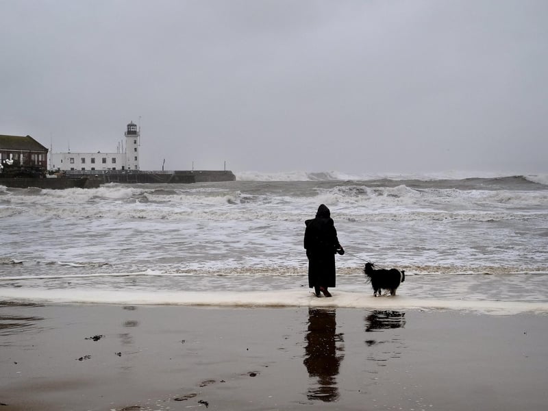 HEre a Scarborough resident and their dog are having a wild walk on the beach.