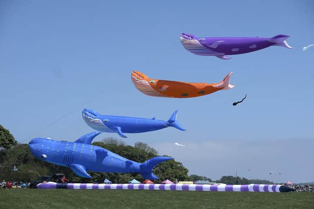 Dozens of interesting inflatable kites will add a splash of colour to the clifftops at Sewerby.