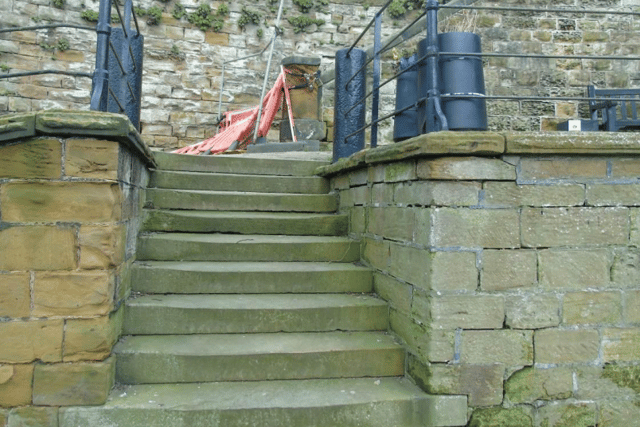 Museum Terrace, lower steps and retaining wall. SCC Ltd