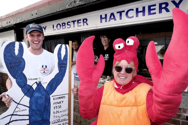 At the Lobster Hatchery... hatchery manager Joe Redfern, Tom Bauling, Helen Taylor and Andrea Russell.
224744r