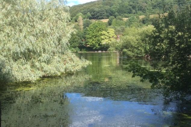 Sunny day at The Mere.