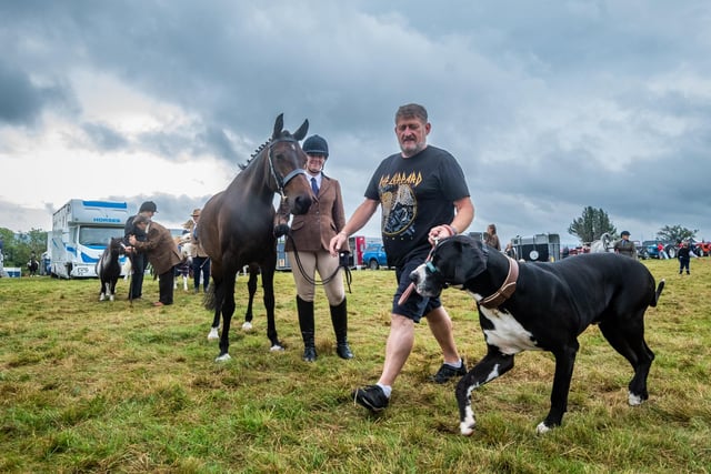 Bethany Hyde, of Stokesley holds her horse Beau, as Mark Yeoman, landlord of the Brown Cow in Hinderwell, walks Hector, his three year old Great Dane around Egton show field.