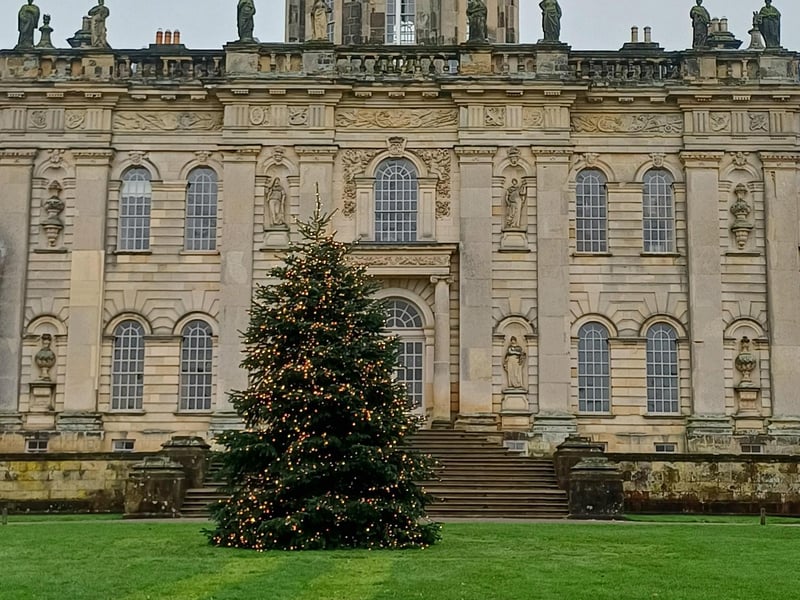 Christmas tree in front of the stately home. photo: Emma Atkins
