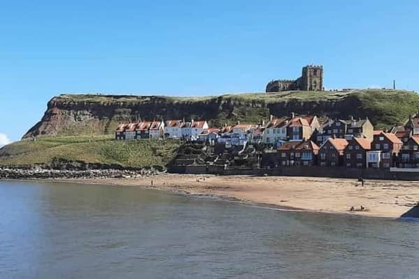 Councillors are set to vote on a contentious motion calling for an end to “major private housing developments” in Whitby.