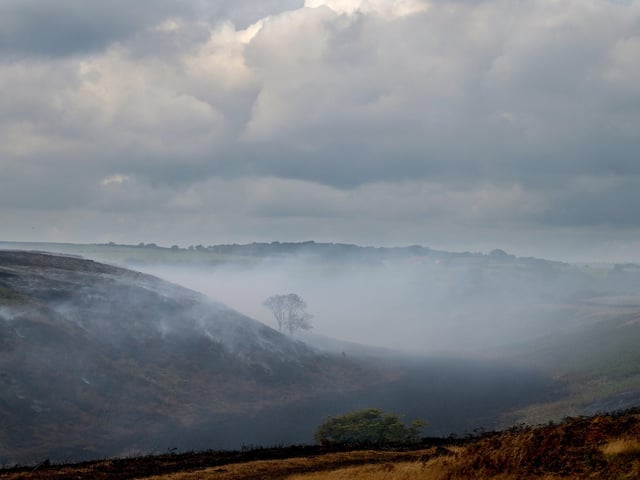 The charred landscape