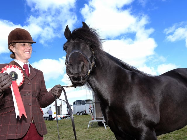 Julie Smith with first prize Sid, a Native Fell pony.