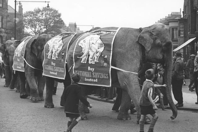 Bertam Mills Circus arrives in town in 1950.
