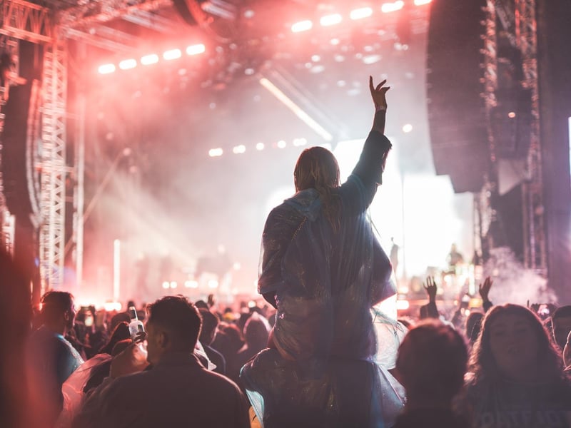 Fans enjoying the concert.