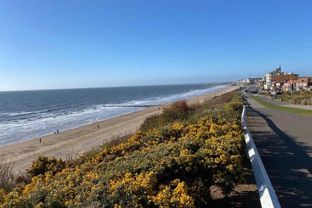 Ian Sandy snapped this great northside landscape image.