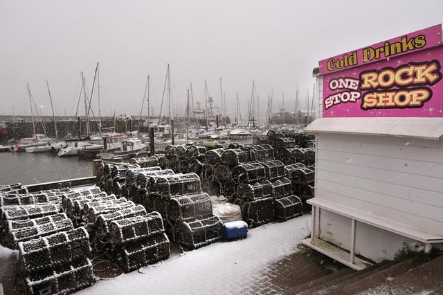 Not a day for cold drinks near the harbour