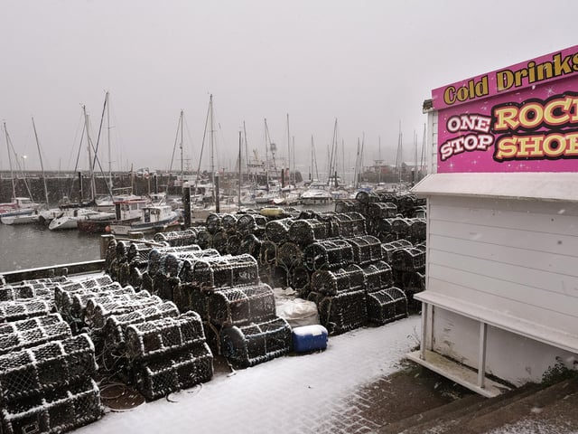 Not a day for cold drinks near the harbour