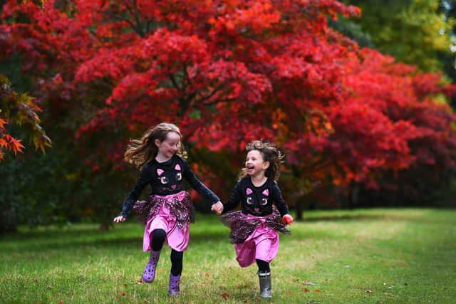 Autumn colours at Thorp Perrow Arboretum, near Bedale..Eleanor Morgan (left) with her friend Clara Titterington run past the Acer Trees at the Arboretum