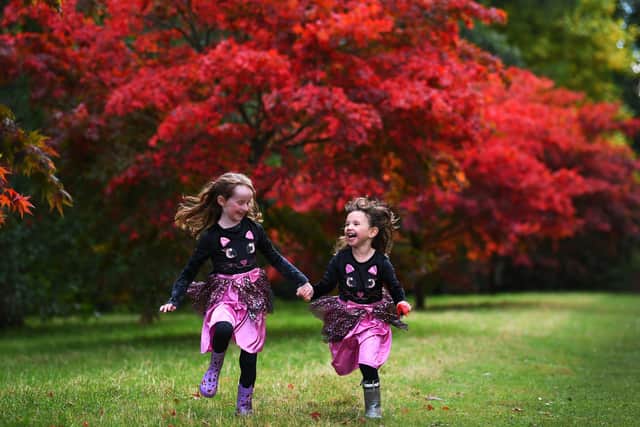 Autumn colours at Thorp Perrow Arboretum, near Bedale..Eleanor Morgan (left)   with her friend Clara Titterington  run past the Acer Trees at the Arboretum