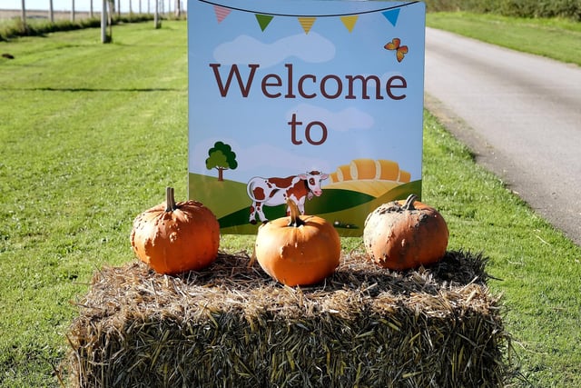 Humble Bee Farm has prepared for Halloween with a spooky trail and pumpkin lantern fun.
