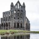 Whitby Abbey - pictured here with a heron on the pond - is hosting a Kids Rule! event on May half-term.