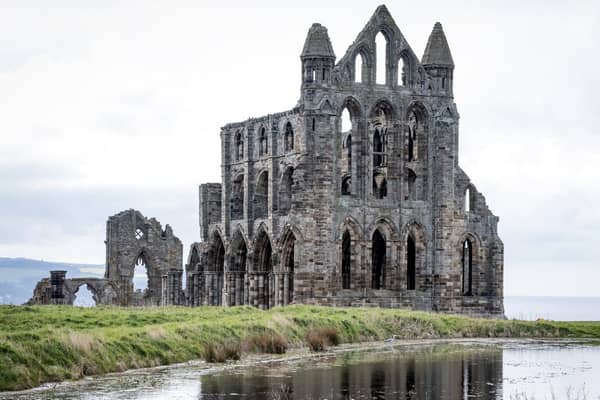 Whitby Abbey - pictured here with a heron on the pond - is hosting a Kids Rule! event on May half-term.
