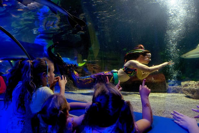 The mermaids took over at SEA LIFE Scarborough.