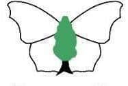 Big Butterfly Count