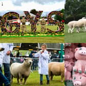 We take a look at some of the best photos from the second day of the Great Yorkshire Show 2023