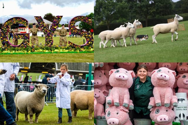 We take a look at some of the best photos from the second day of the Great Yorkshire Show 2023