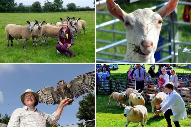 Here are 21 photos from Thornton Le Dale show through the years.
