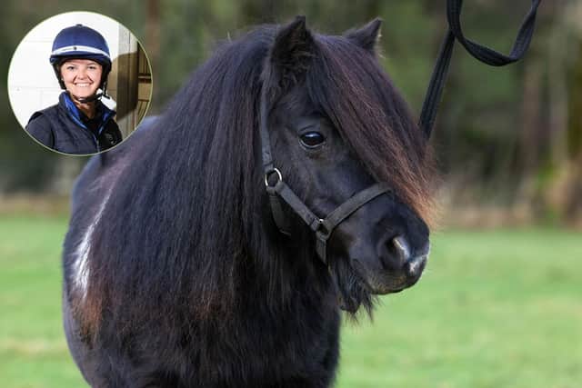 Miniature Shetland Pony Flair, and inset, vet Lizzie Cullen. photo: VetPartners