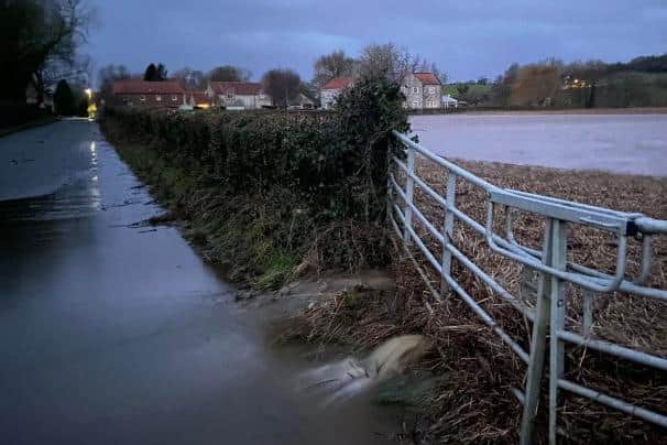 Photo of gate with vegetation blockage in Marton. Photo: NYC.