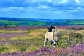 Communities in the North York Moors are threatened by the high rate of second homes.