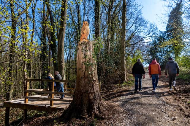 Beacon Farm, Sneaton, near Whitby. Pictured is a large chainsaw sculpture of an Owl, just one of the many artworks on display in the wood.