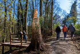 Beacon Farm, Sneaton, near Whitby. Pictured is a large chainsaw sculpture of an Owl, just one of the many artworks on display in the wood.