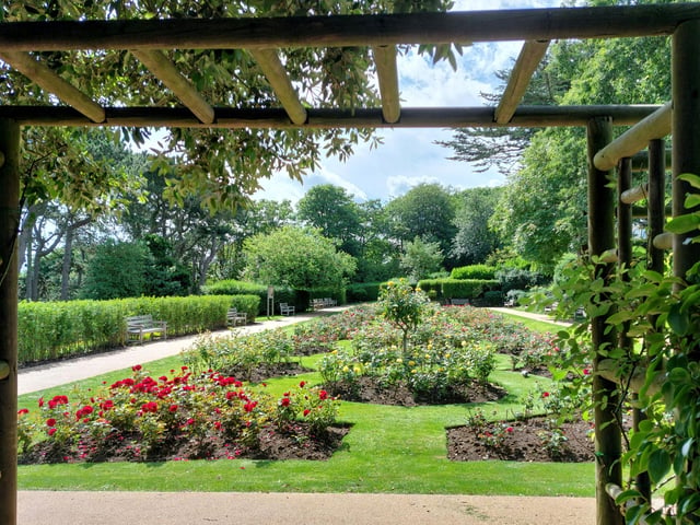Rose garden, by Stephen Hovington.