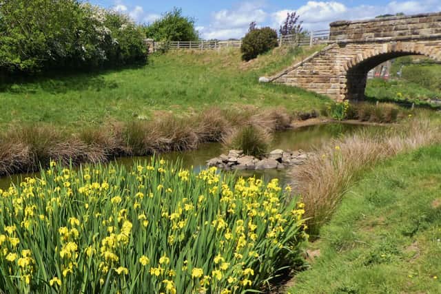 Scenic view on the Egton Bridge to Lealholm walk.